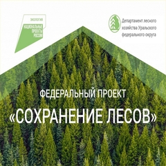 Единый день «Профилактики возникновения лесных пожаров»