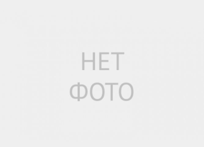 «Мир вокруг нас: Наука на страже Отечества»